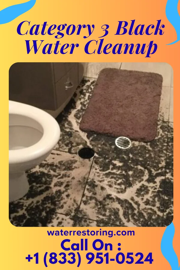Category 3 Black Water Cleanup in Fair Lakes, VA